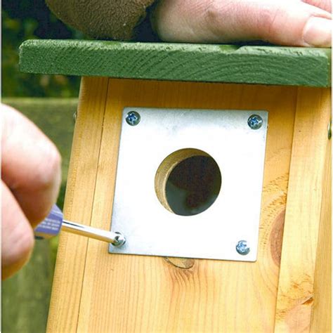 metal plates for bird boxes|bird box entrance plate.